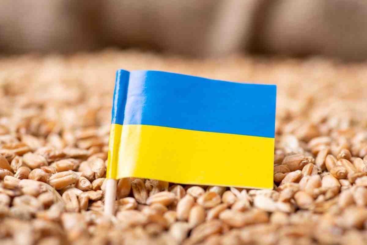 WSJ: „Пазарът умря“ – украинските фермери пресмятат загубите от краха на зърнената сделка