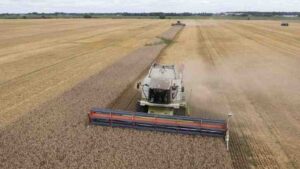 Politico: Забраната на Полша, Унгария и Словакия за внос на украинско зърно „разцепи европейското единство“